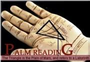 Palm Reading